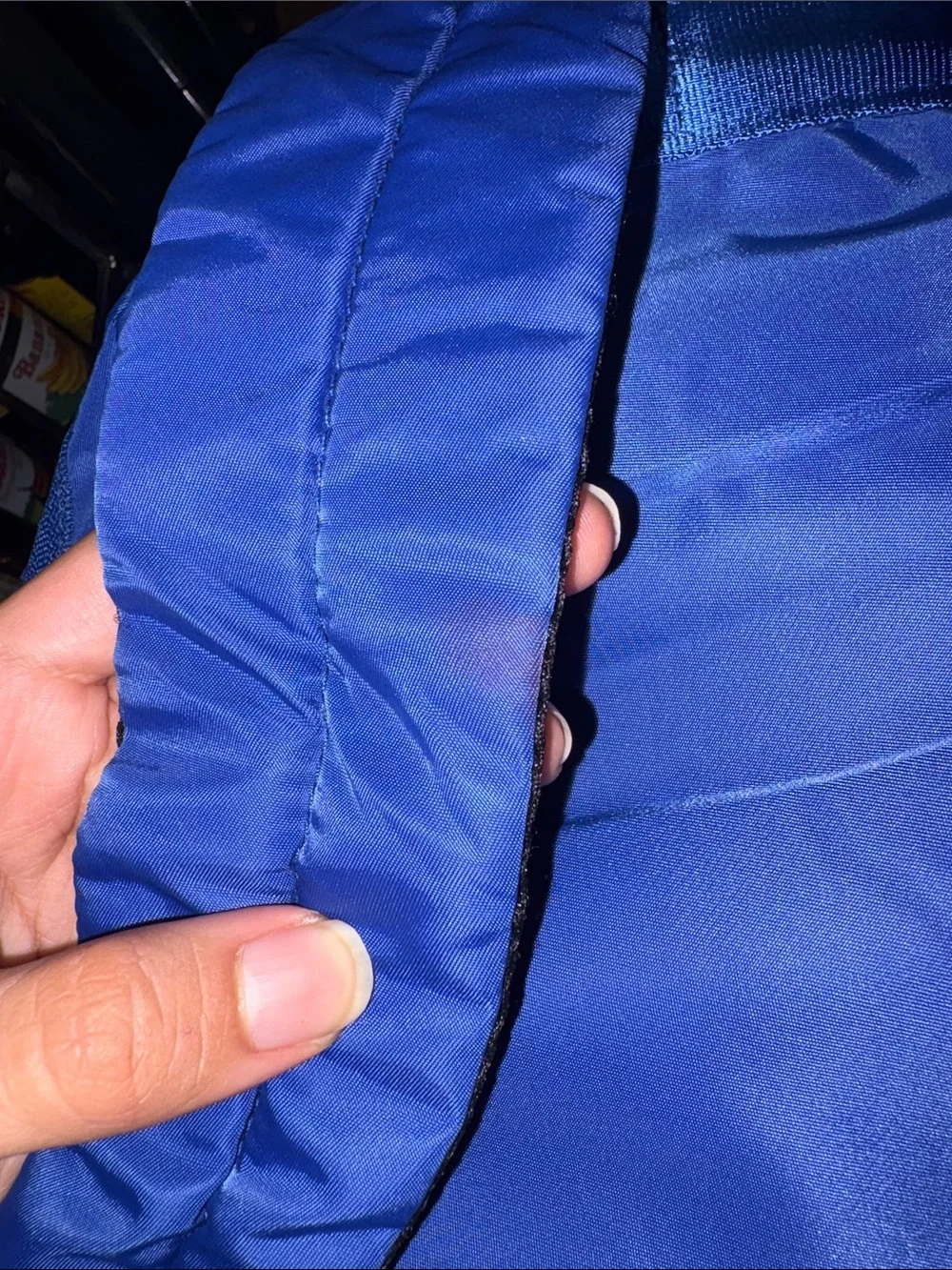 Baggallini Royal Blue Nylon Daypack Backpack (Read Description)